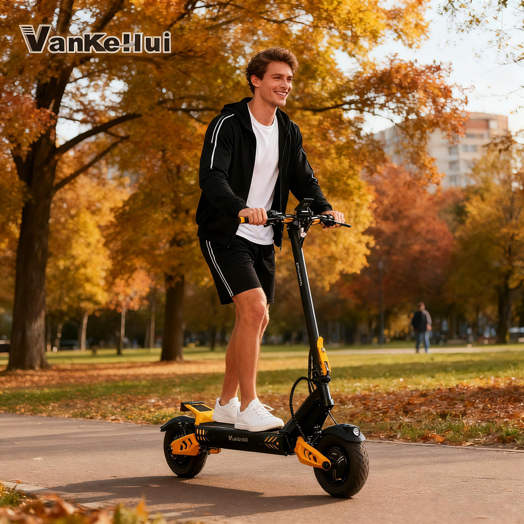 Supports OEM/ODM, LOGO customization, two-wheeled electric scooters, skateboard leisure outdoor transportation tools, dual-drive folding lithium battery two-wheeled flatbed trucks, Vanke Hui, 1600V, 60V