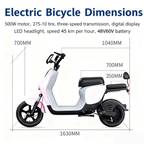 600W 48V20A new electric tricycle, a small household electric bike for women, a walking bike for children, and an elderly assistance bike