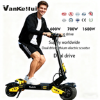 Supports OEM/ODM, LOGO customization, two-wheeled electric scooters, skateboard leisure outdoor transportation tools, dual-drive folding lithium battery two-wheeled flatbed trucks, Vanke Hui, 1600V, 60V